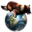 sports-canins.net icon