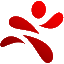 sportsnow.ch icon