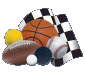 sportstravelandtours.com icon