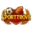 sporttrove.id icon