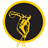 sportzoneindy.com icon