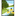 Springfield Township-City Clrk logo