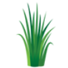 springwoodfarm.com icon