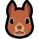squirrel.rocks logo