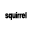 squirreltv.es icon