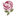 SRC logo