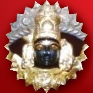 srivaddipartipadmakar.org icon