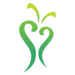 sscf.ca icon
