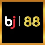 ssstiktok.biz icon