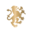 st-remy.com icon