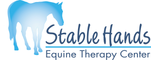 stablehandstherapy.com icon