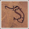 stackhousesaddles.com icon