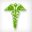 stafkingshealthcare.com icon