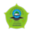 staiattanwir.ac.id icon