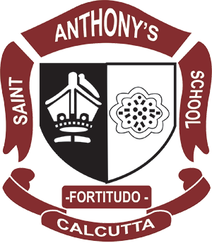 stanthonyschooledu.org icon