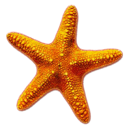 starfishhealthandwellbeing.co.uk icon