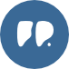 statzon.com icon
