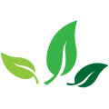 stayinthedales.com icon