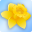 stayinwales.co.uk icon