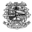 stbcet.org.in