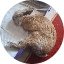 stefdp.com icon
