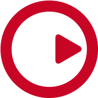 steinberg.help logo