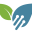 Domain Favicon