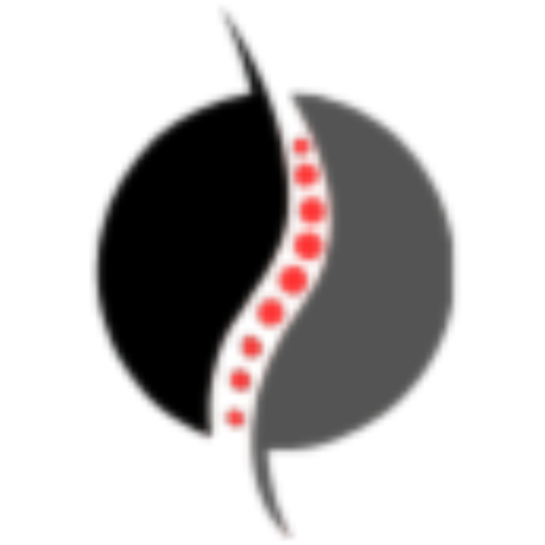 stellarspinsgroup.nl icon