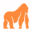 stelorder.com logo