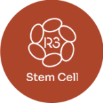 stemcellmexico.com icon