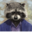 stex.codes icon