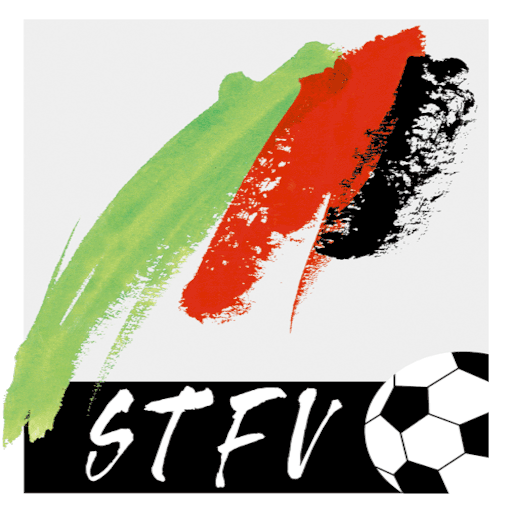 stfv.at icon