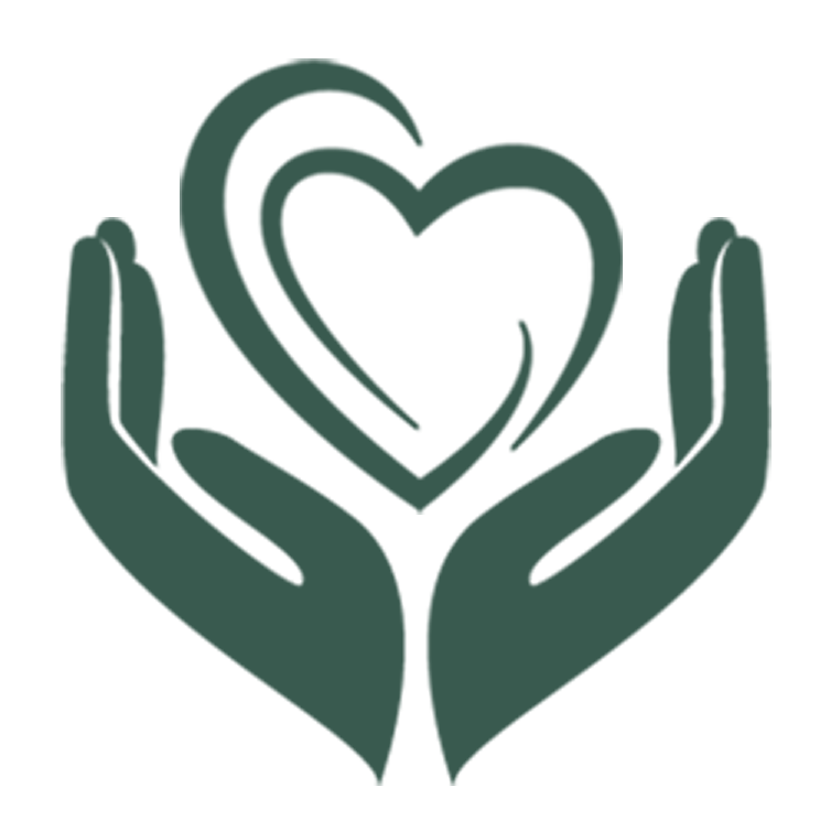 sthfoundation.org icon