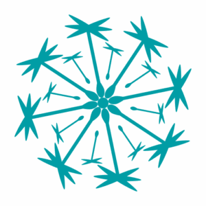 stiftung-gemeinwohloekonomie.nrw icon