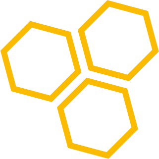sting.net icon