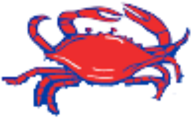 stingaree.com icon