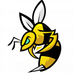 stingbox.com icon