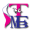 stmfb.com icon