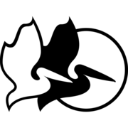 Pelican/Storm logo