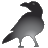 storywrite.com logo