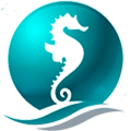stowater.com icon