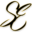strivingforeternity.org icon
