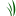 StrokeScribe logo