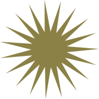 studiorowedesign.com icon