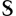studsandspikes.com logo