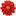 study-in-germany.com logo