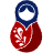 studyinrussia.ru icon