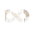 sublationmedia.com icon