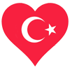 subtitrariturcesti.com icon