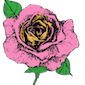 sufiawakening.org icon